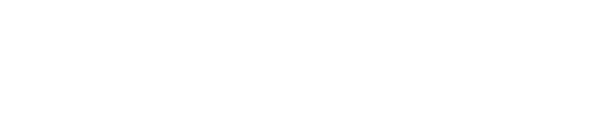 Space Store Logo