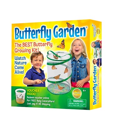 Butterfly Garden Kit