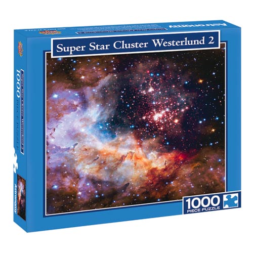 Super Star Cluster Westerlund 2 Puzzle