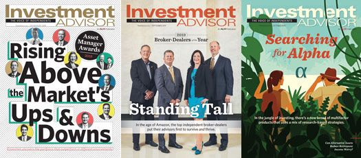 Investment Advisor